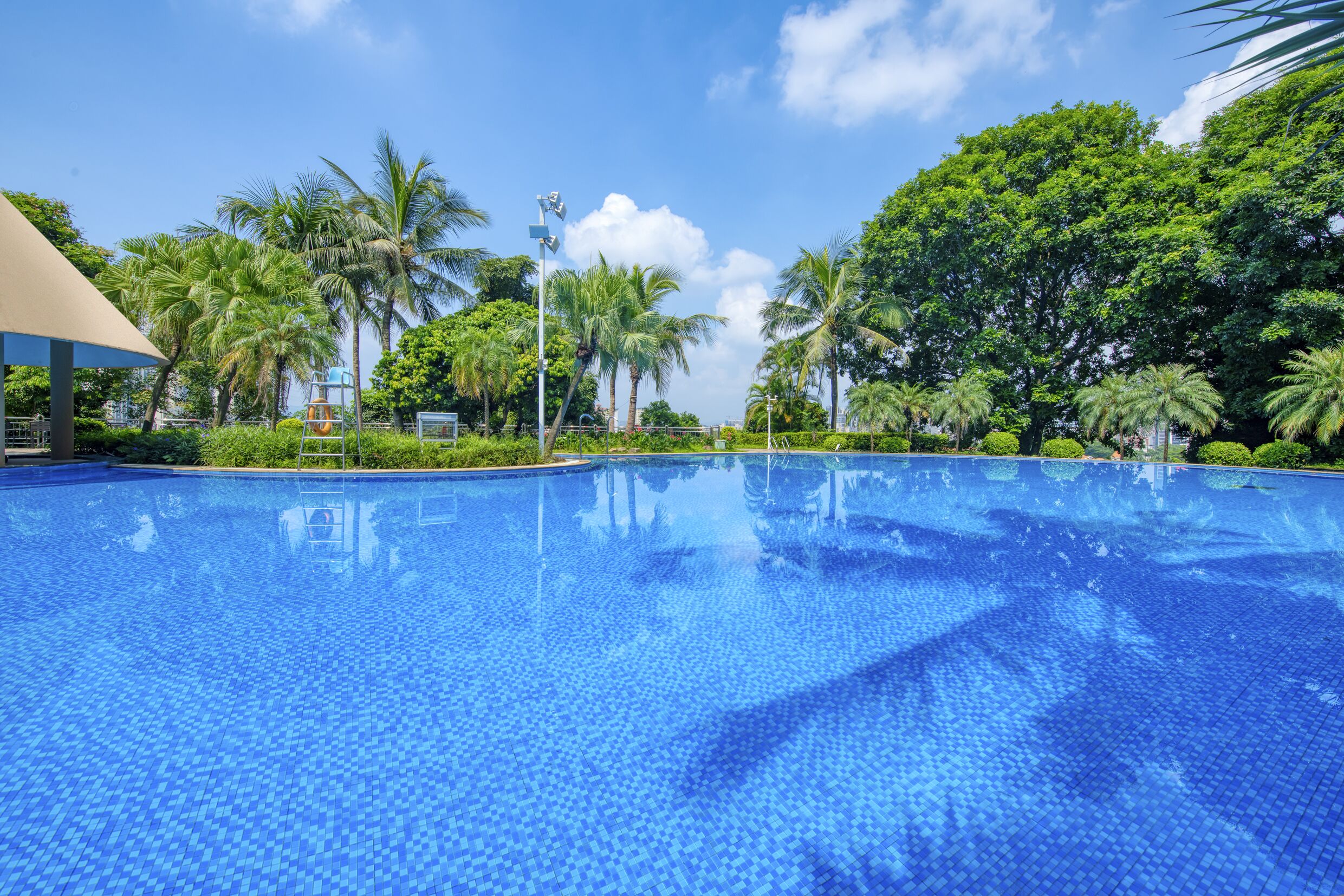 Une piscine d’eau cristalline, entourée d’une végétation luxuriante et de palmiers.