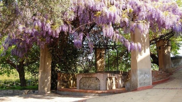 A garden with purple wisteria vines hanging over a stone structure. - Antico Borgo Etneo Country Hotel (Calatabiano)