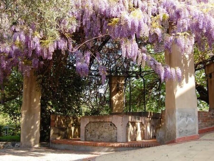 Fachada del alojamiento