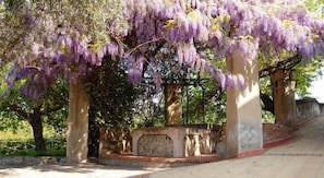 A garden with purple wisteria vines hanging over a stone structure. - Antico Borgo Etneo Country Hotel (Calatabiano)