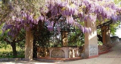 Antico Borgo Etneo Country Hotel