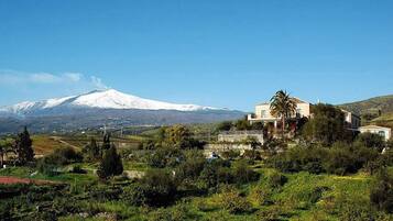 A house with a view of a snow-capped mountain in the background.