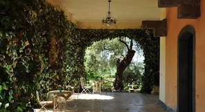 An indoor area with a covered patio, surrounded by dense foliage. - Antico Borgo Etneo Country Hotel (Calatabiano)