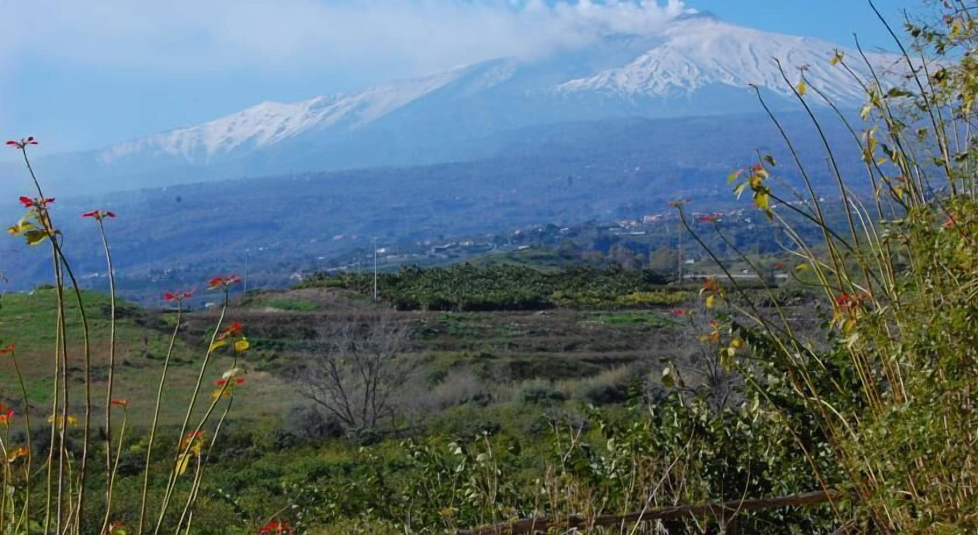 Un paisaje montañoso con un pico nevado al fondo.