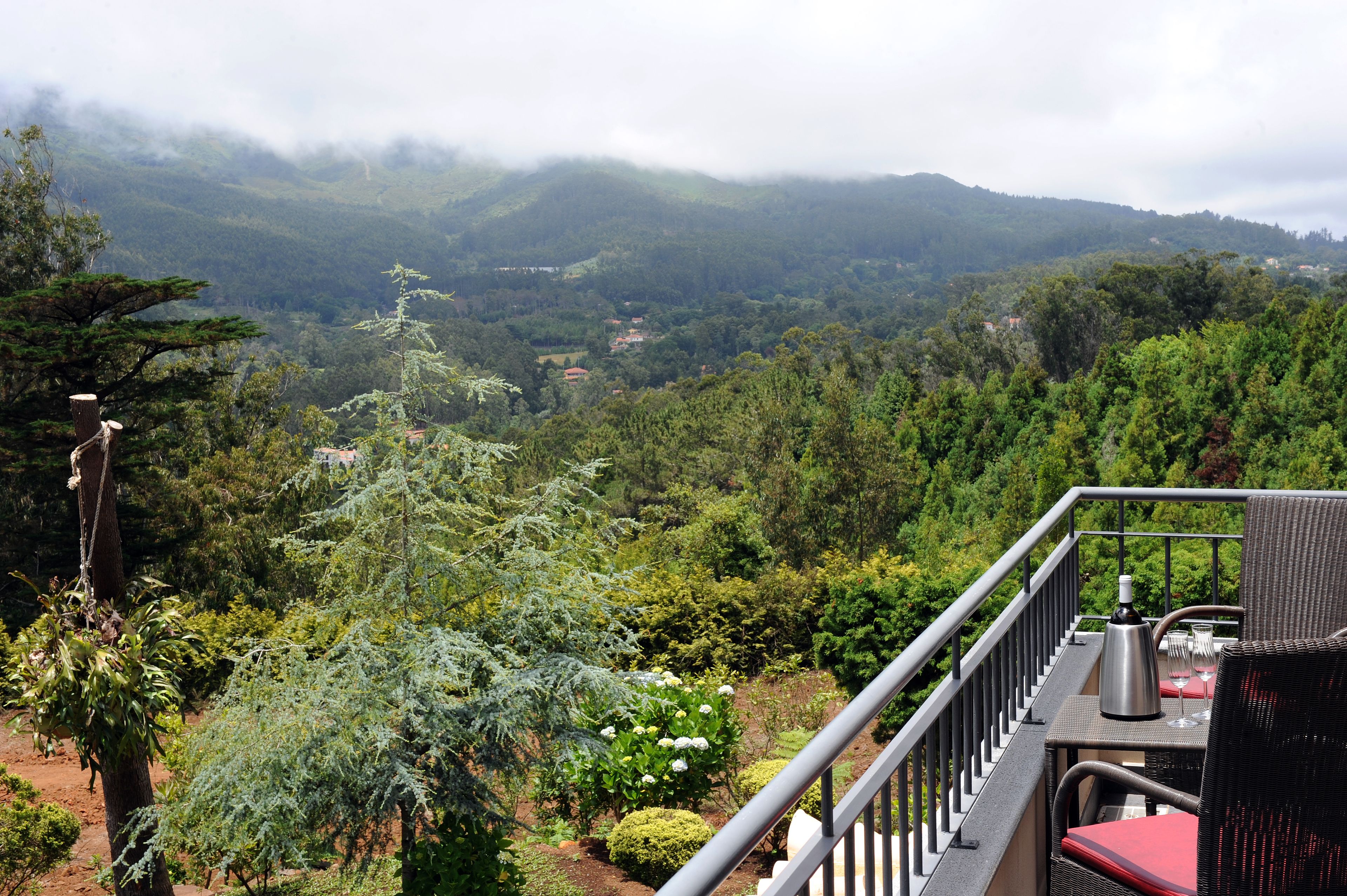 Foto - Quinta Da Cova Do Milho