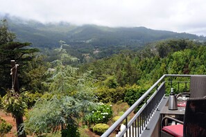 Balcony - Quinta Cova do Milho (Santa Cruz)