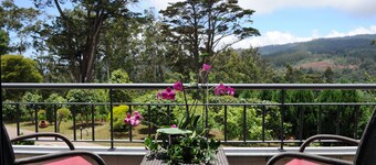 Quinta Cova do Milho