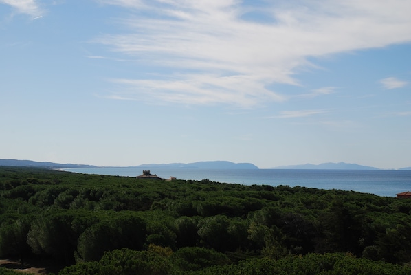 Un paisaje costero con abundante vegetación y una vista despejada del mar y montañas distantes.