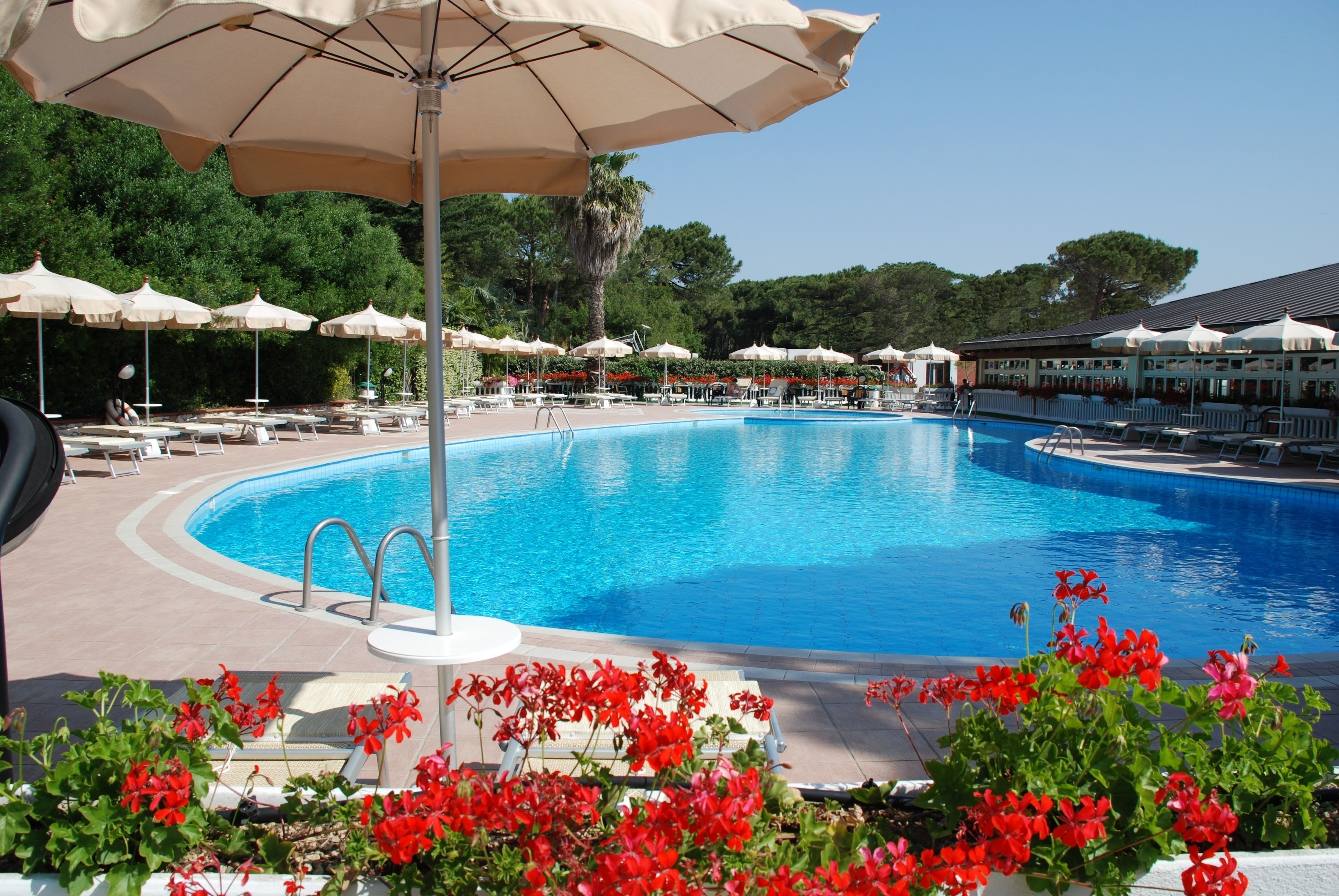 Indoor pool, outdoor pool, open 9 AM to 7 PM, pool loungers