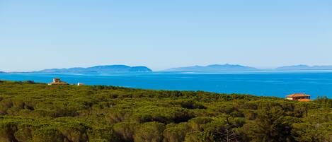 Paisaje costero con vegetación exuberante y una vista despejada del mar y montañas distantes.