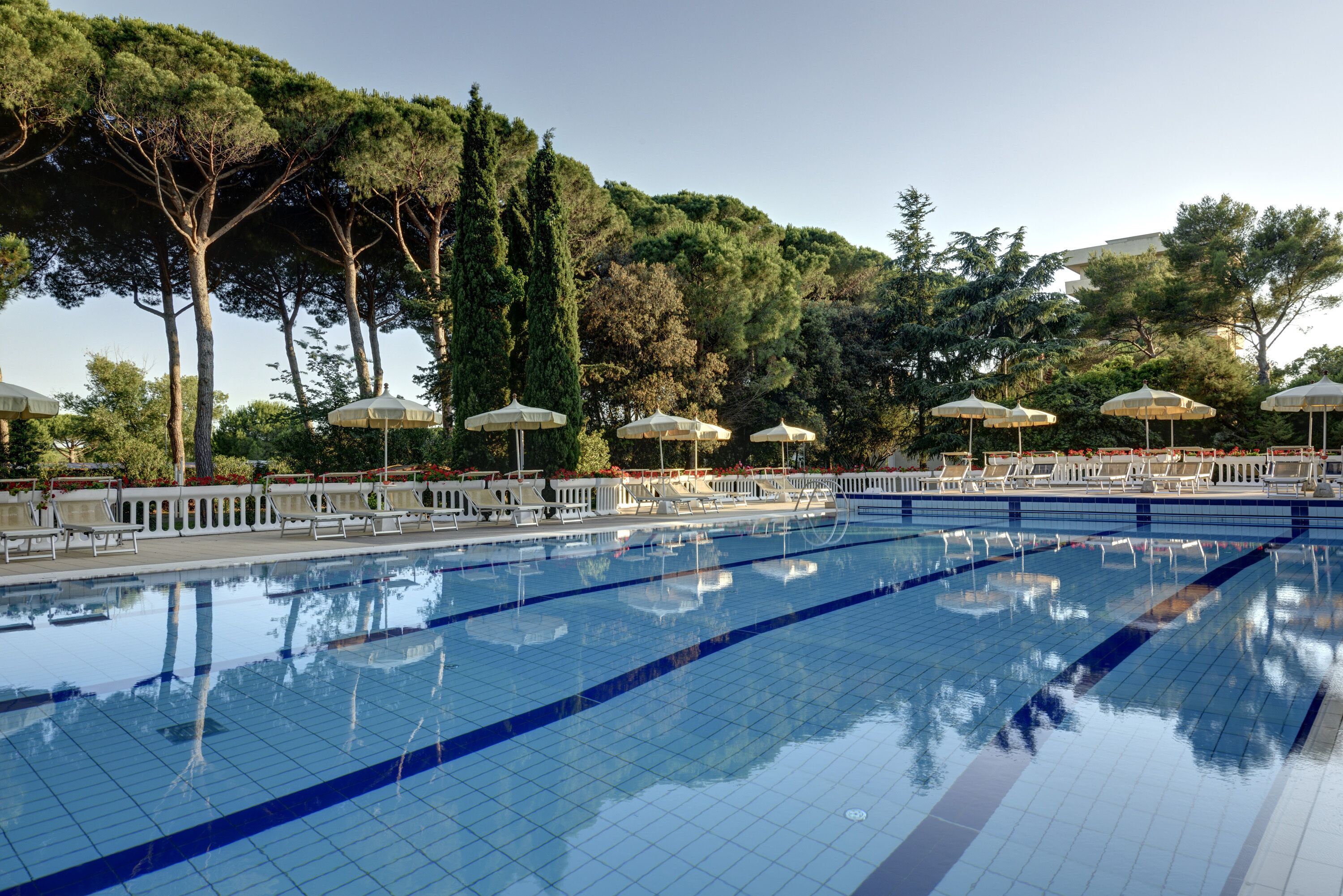 A swimming pool with tiled blue water, surrounded by lounge chairs and umbrellas, with trees and a fence in the background.