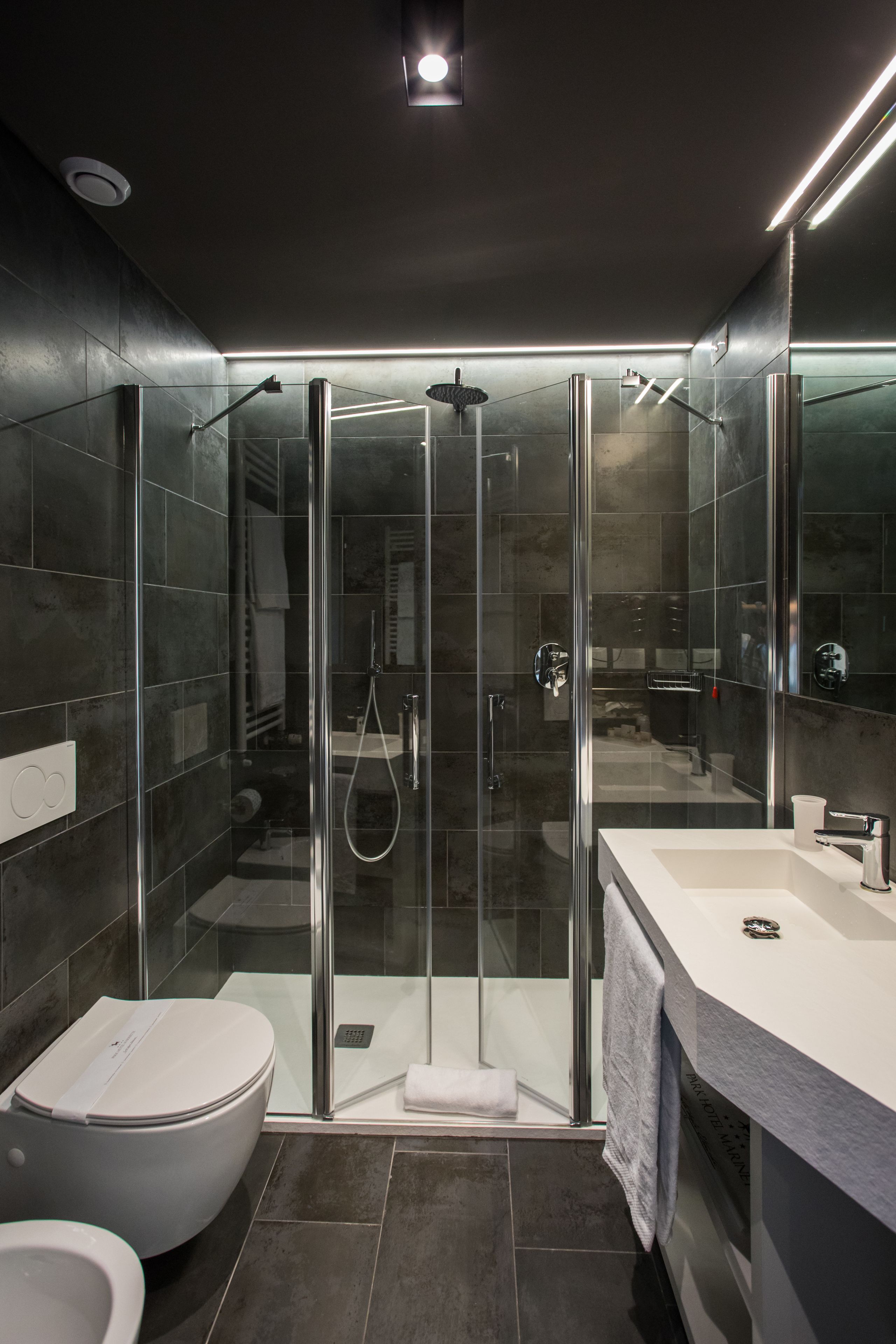 A modern bathroom with a glass-enclosed shower, a white toilet, and a large mirror above the sink.