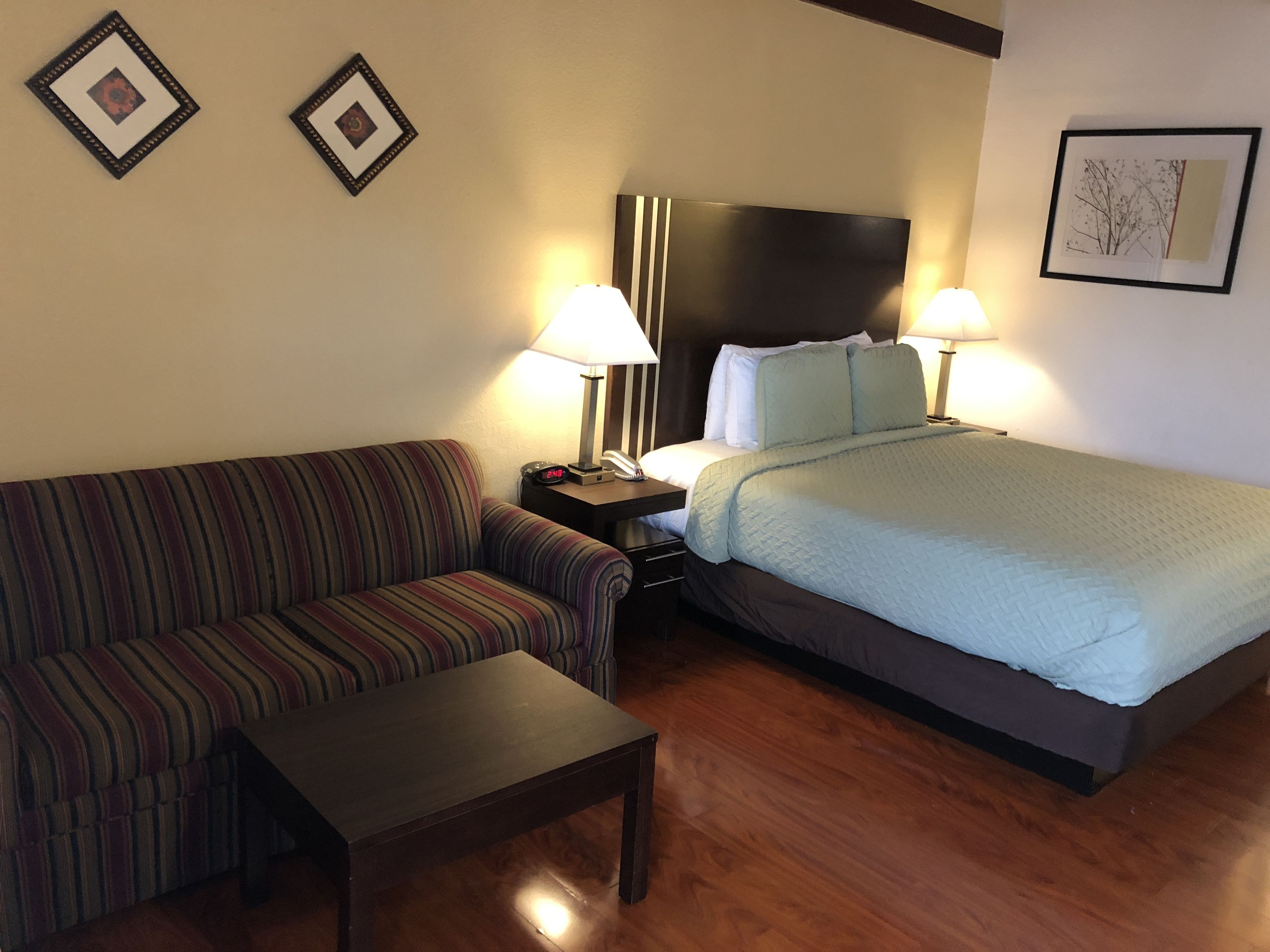 A hotel room with a striped sofa, a single bed with a quilt, a nightstand with a lamp, and a wooden floor.
