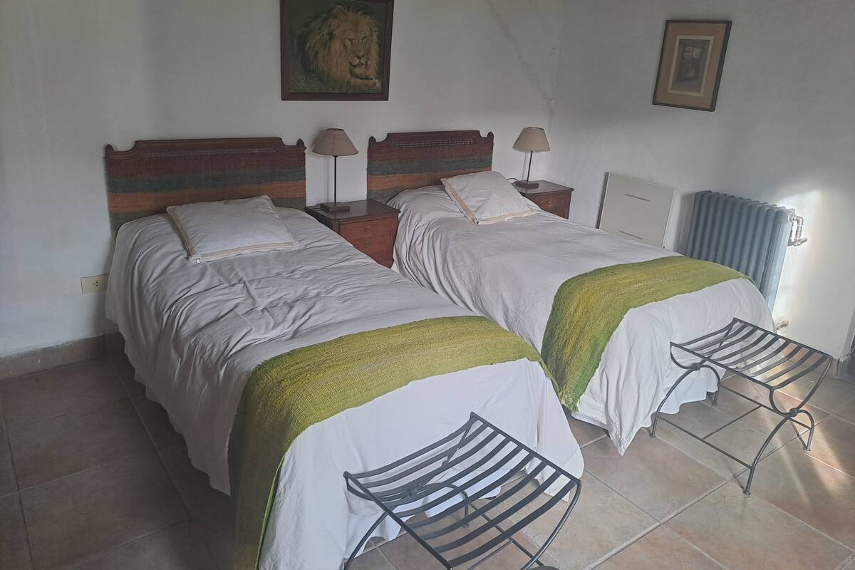 Un dormitorio con dos camas, un cuadro de un león, un radiador y una mesita de noche con una lámpara.