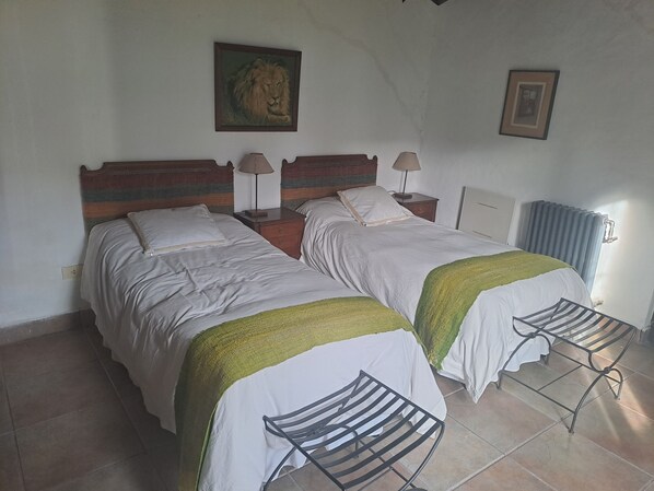 A bedroom with two beds, a painting of a lion, a radiator, and a small table with a lamp. - Las Tacanas (Tafi del Valle)