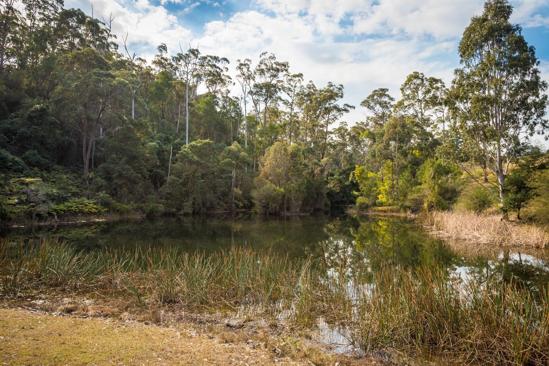 A natural landscape with a body of water surrounded by trees and vegetation.