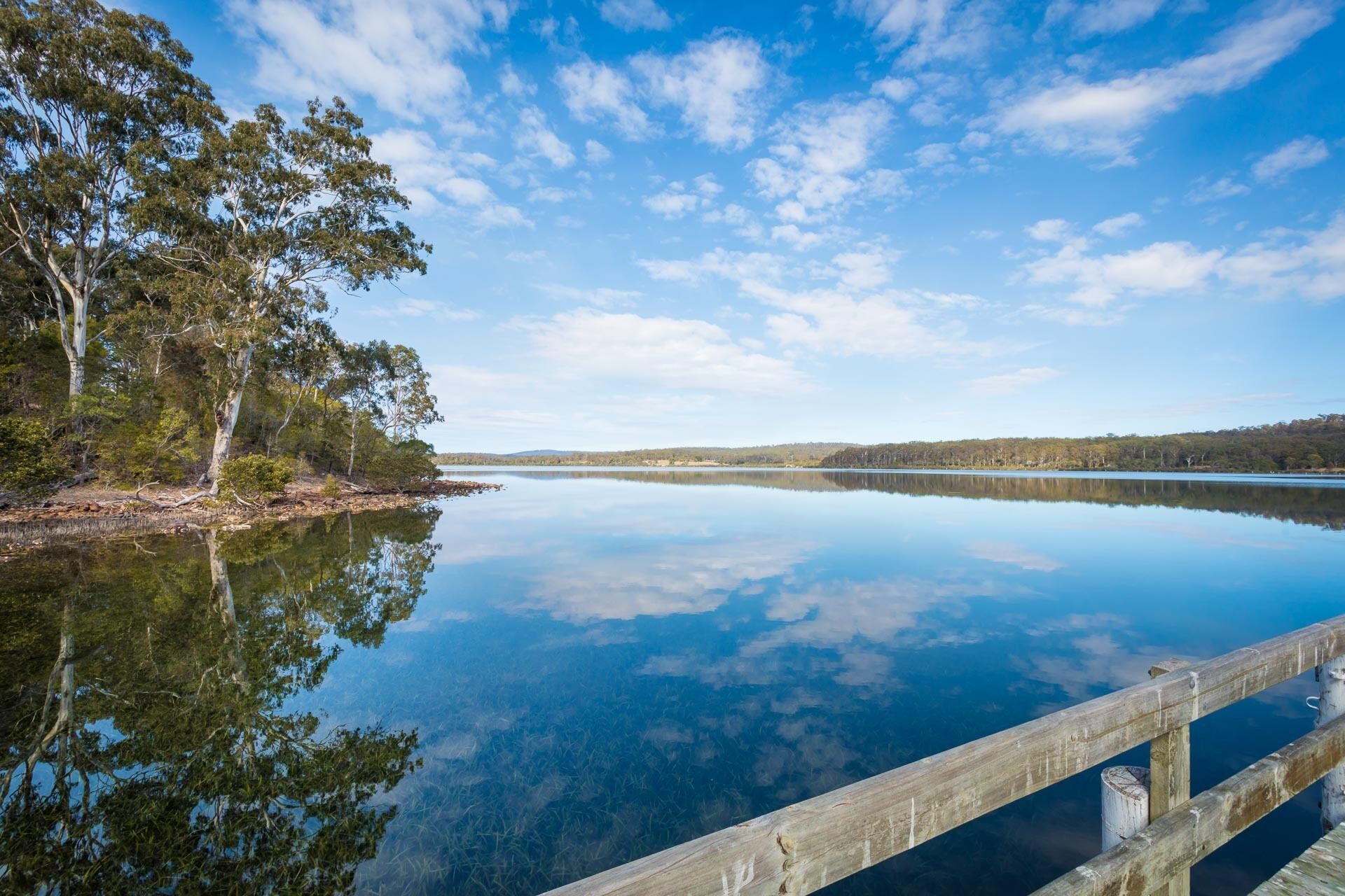 Un lago tranquilo con un muelle de madera que se adentra en el agua, rodeado de árboles y un cielo despejado.