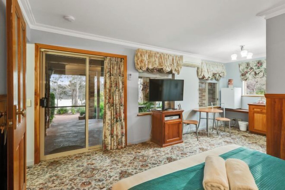 Una habitación con una cama, televisión, escritorio y una silla.