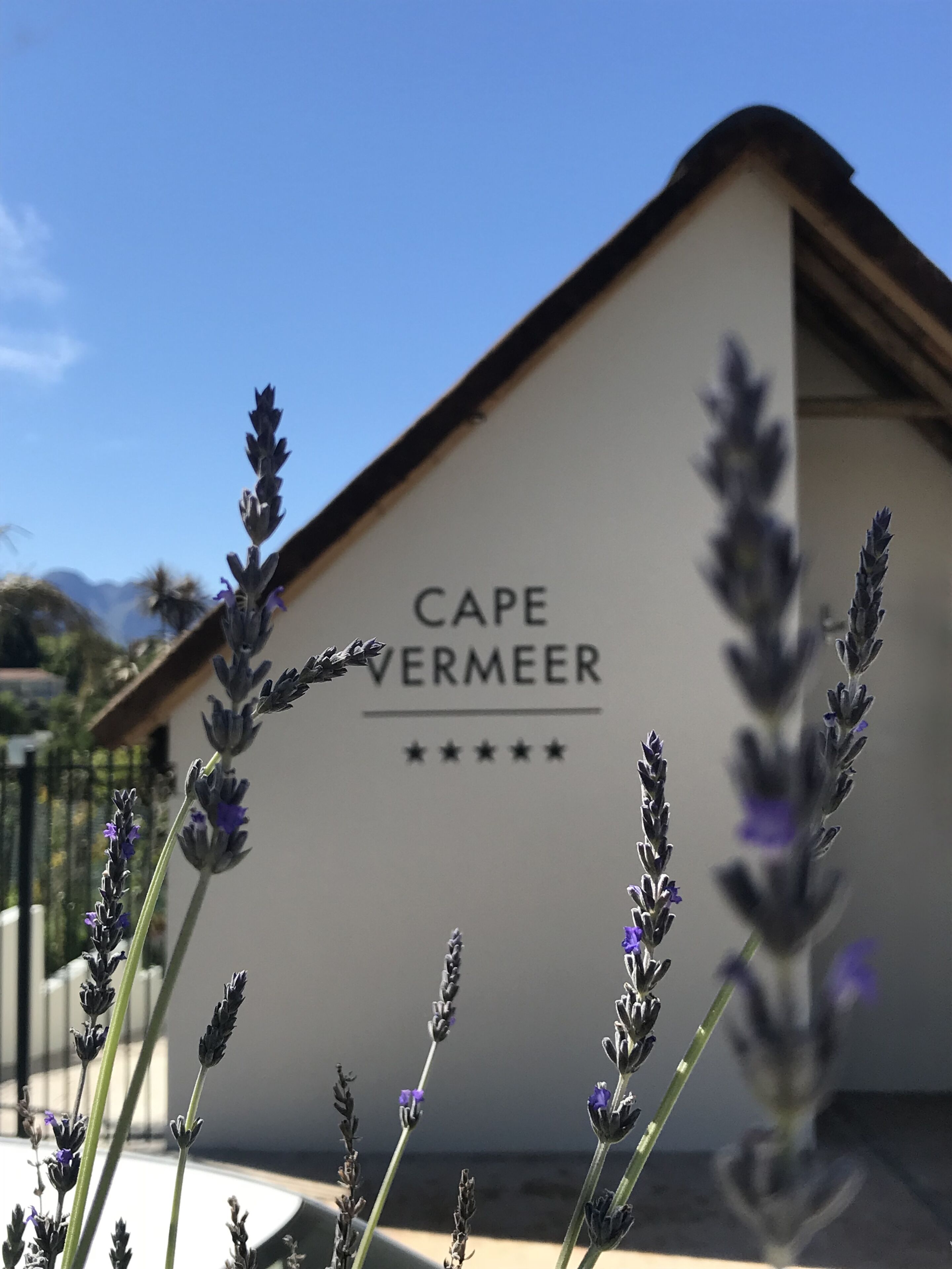 Photo - Cape Vermeer