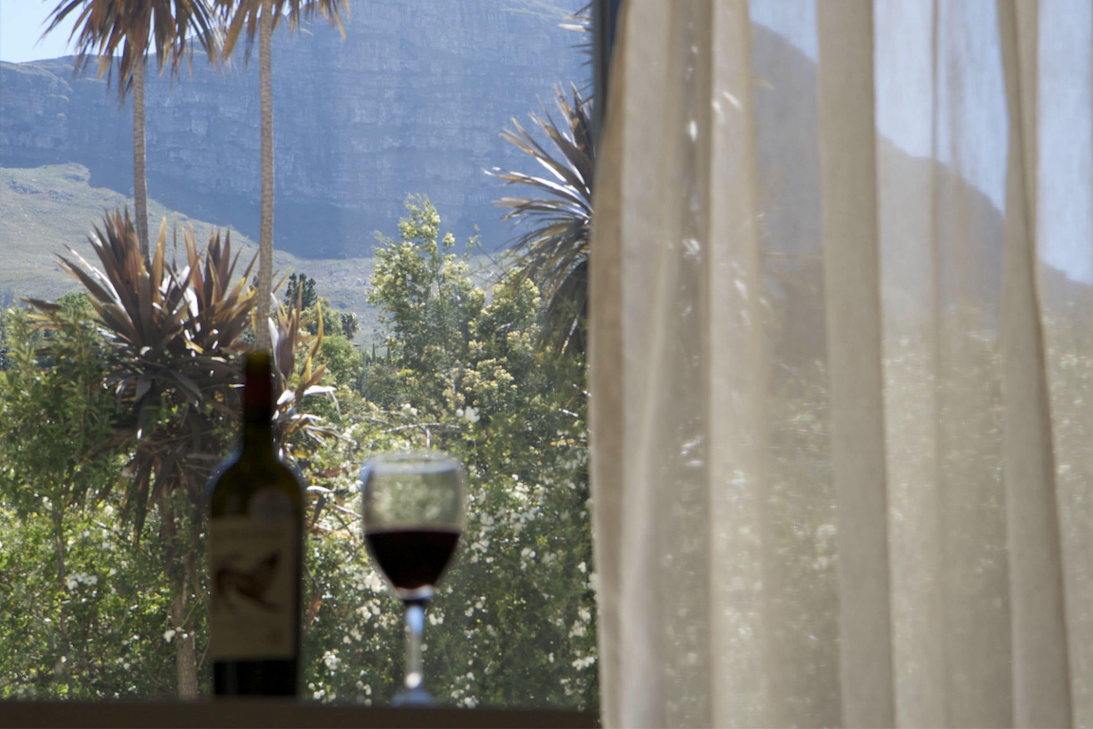 Photo - Cape Vermeer