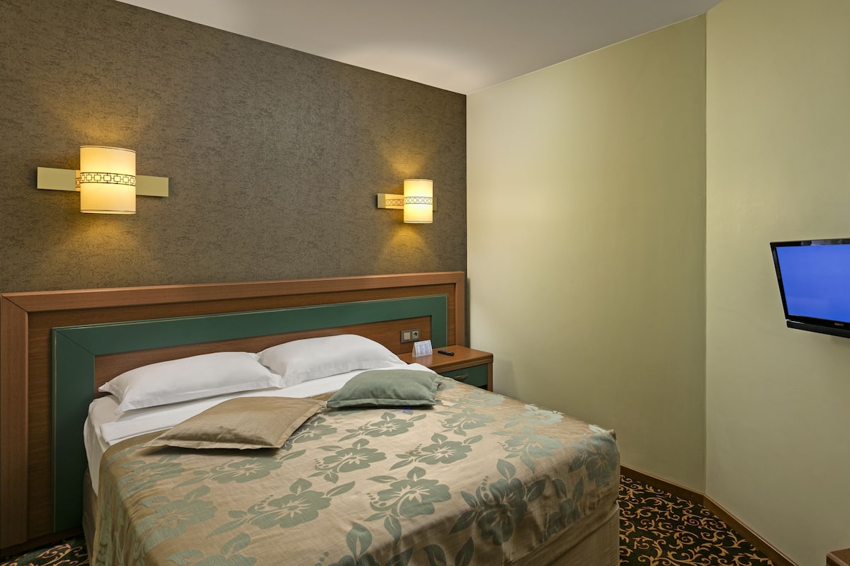 Standard Room, Mountain View