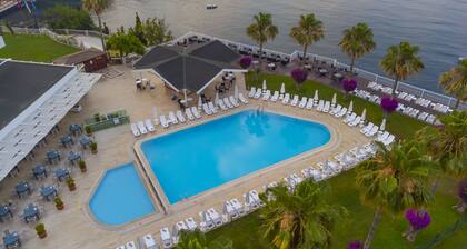 Falcon Hotel