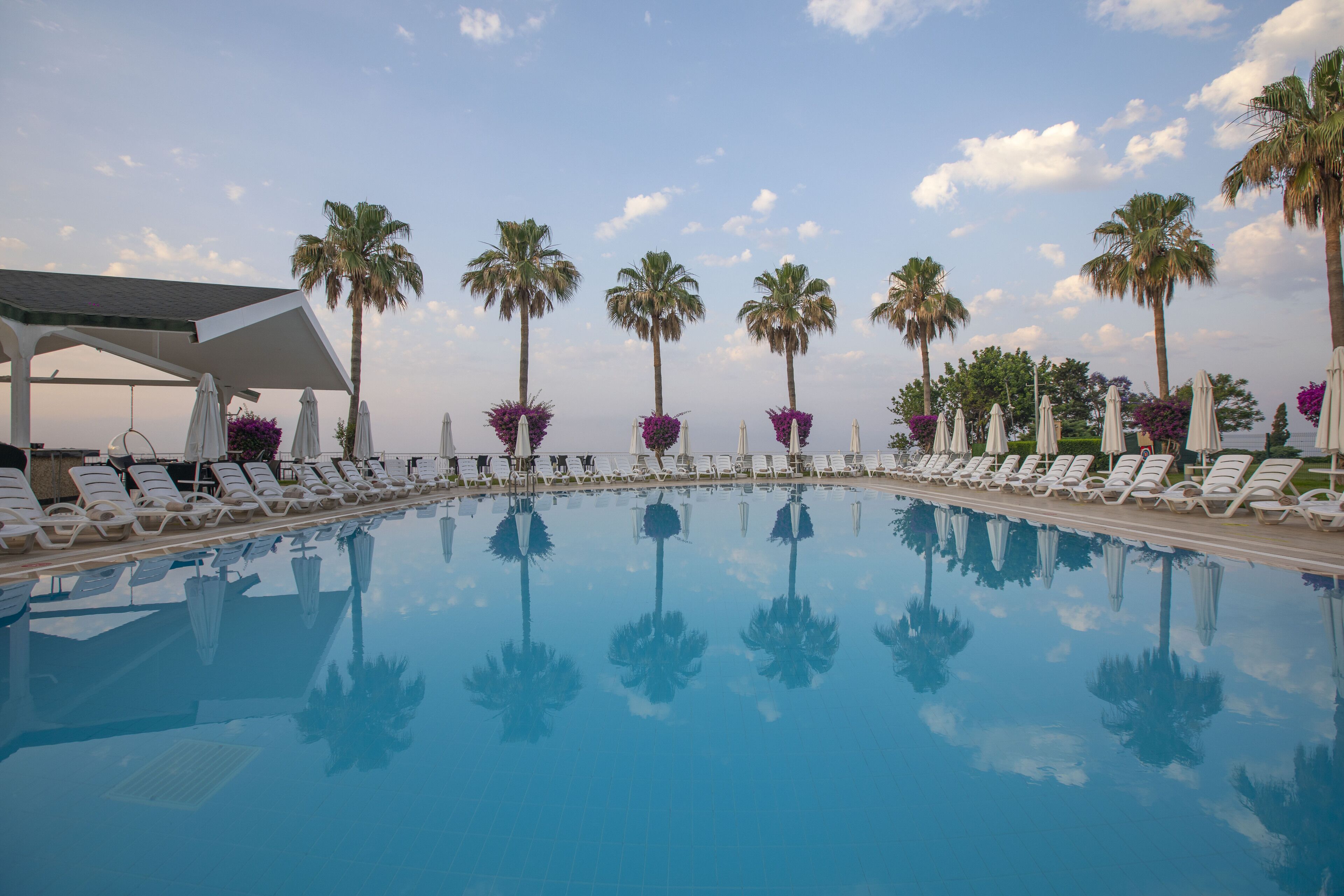 A swimming pool with lounge chairs and palm trees.