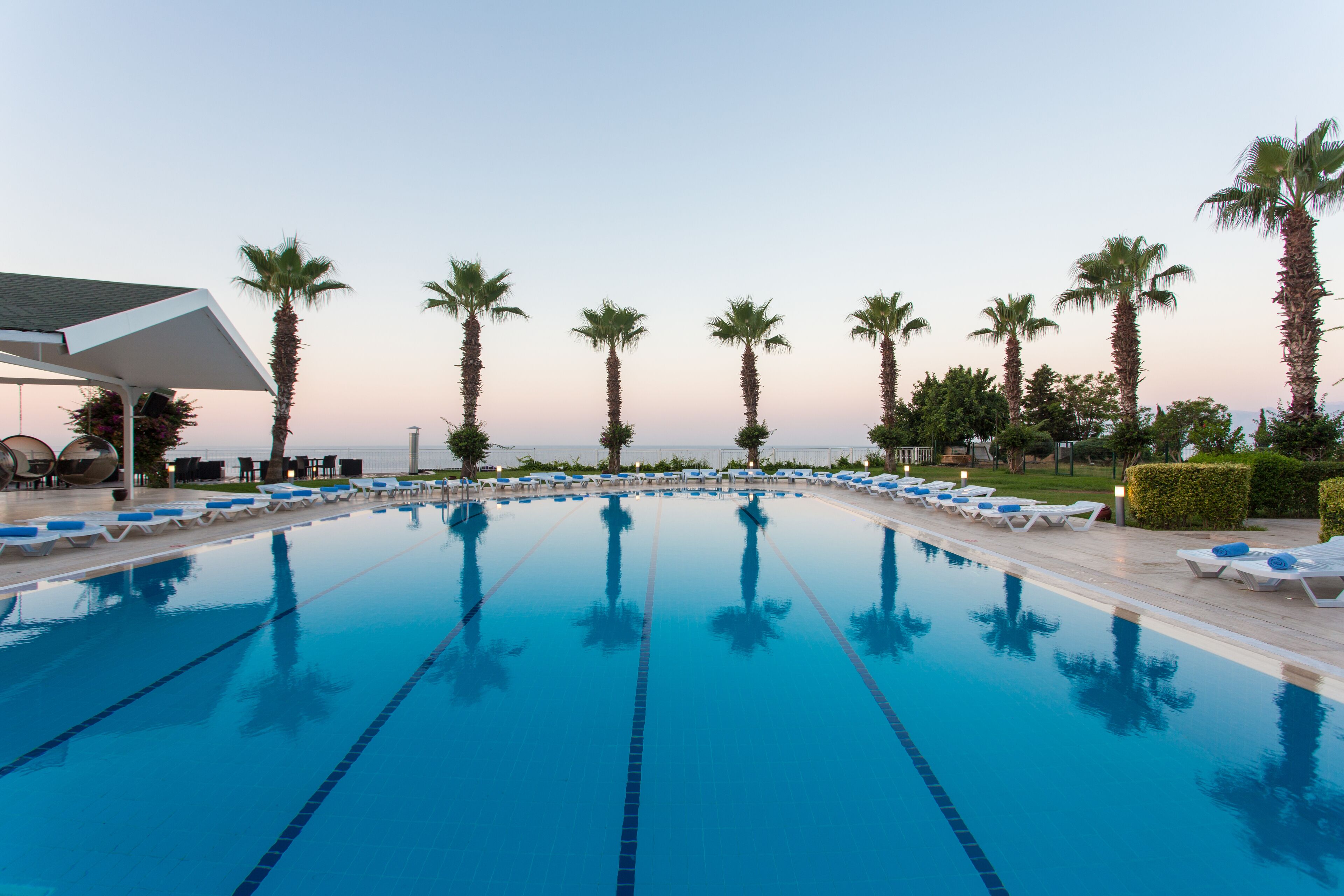 A swimming pool with clear blue water, surrounded by lounge chairs and palm trees.