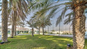 Zona ajardinada con palmeras y un edificio al fondo, donde se lee 