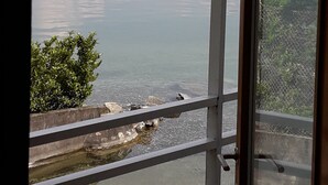 A view of a calm lake with a distant town and mountains. - Hotel Resort Nautilus (Mandello del Lario)