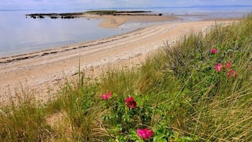 Pantai di sekitar dan memancing