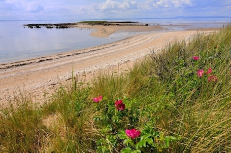 Beach nearby, fishing