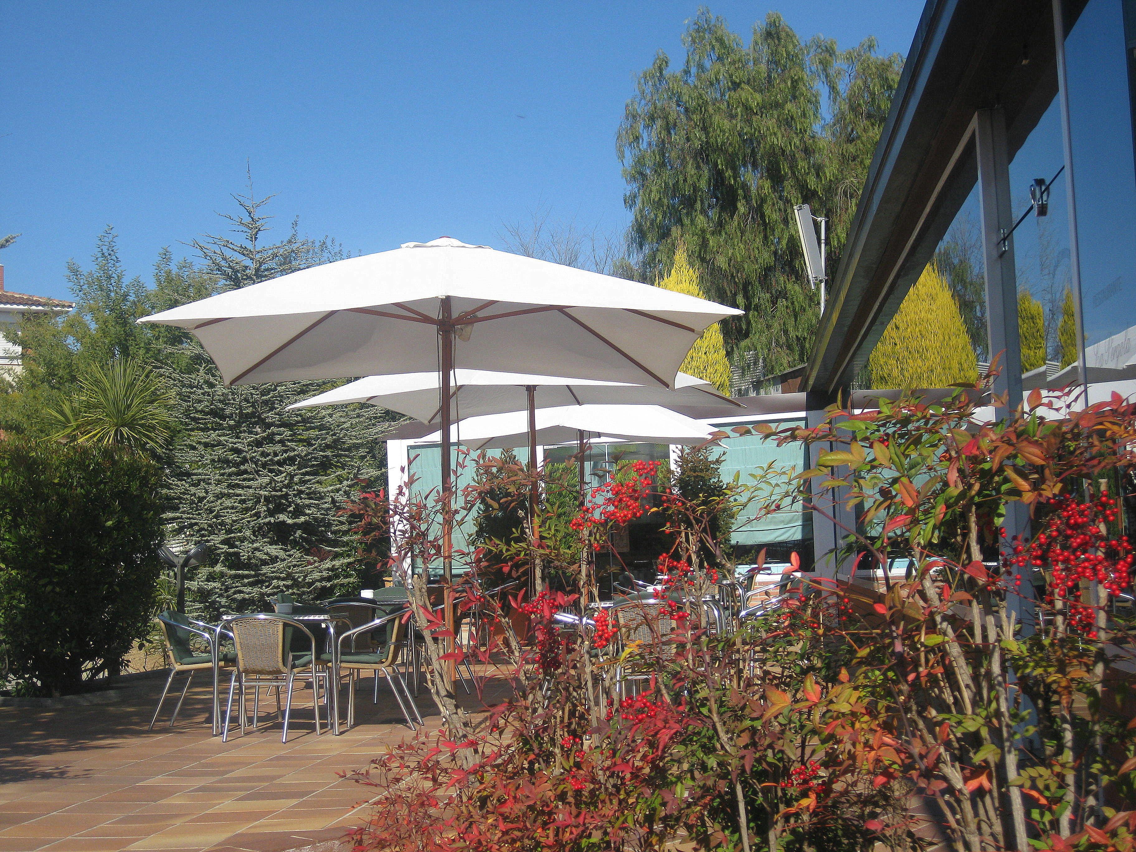 An outdoor seating area with tables and chairs, umbrellas, and a variety of plants and trees.