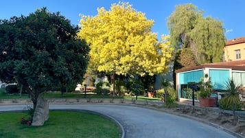 Vistas al jardín