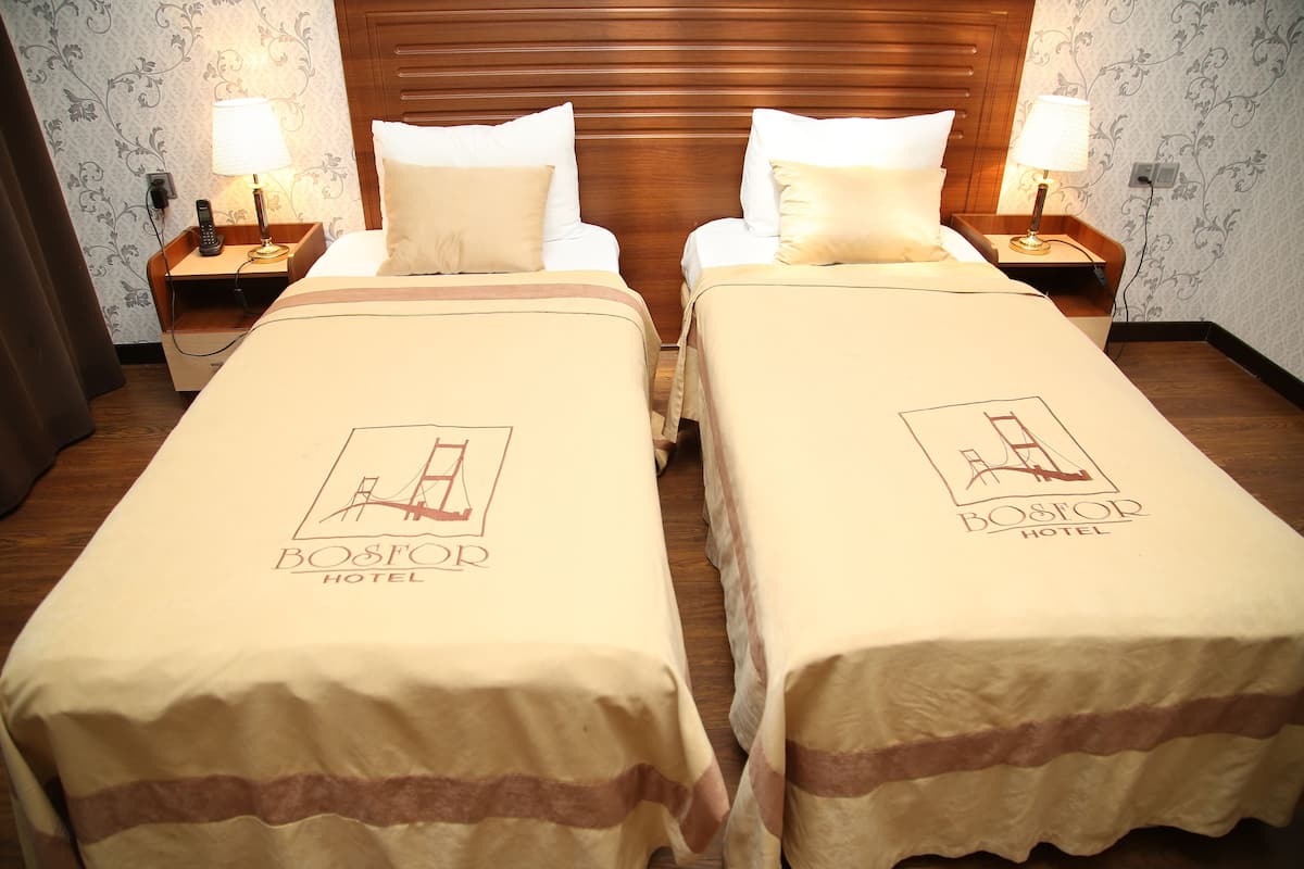 Standard Twin Room | 1 bedroom, minibar, in-room safe, desk