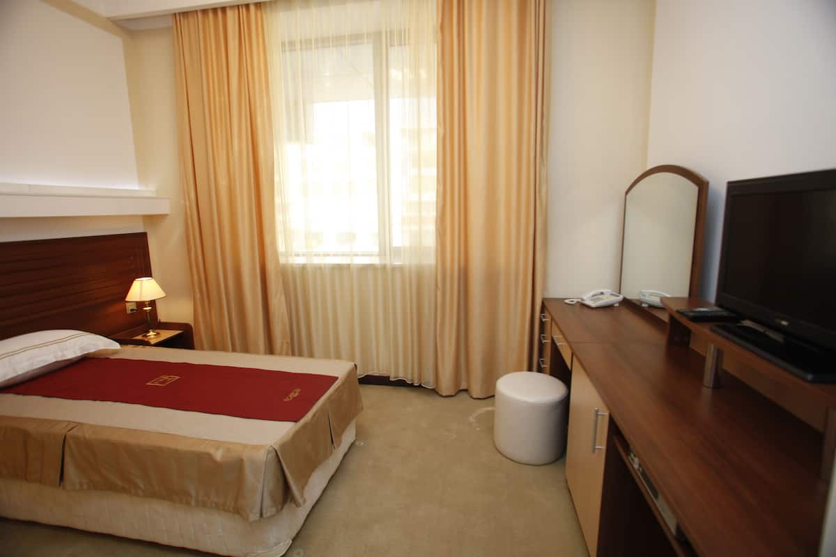Economy Single Room | 1 bedroom, minibar, in-room safe, desk