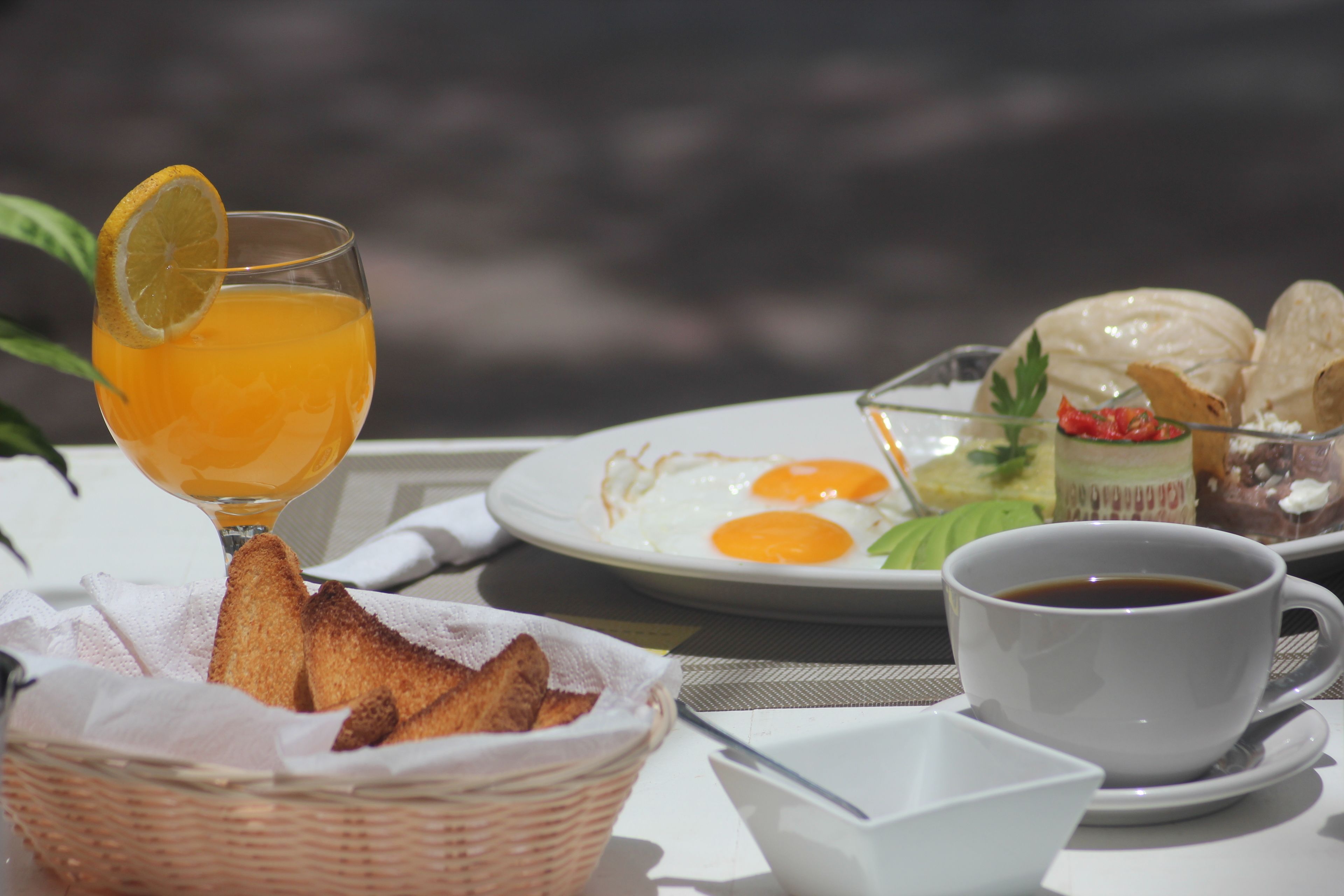 Foto - Senses Quinta Avenida Adults Only Hotel By Artisan