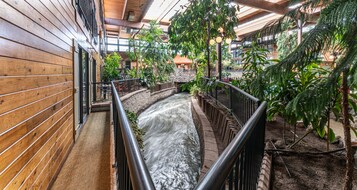 Vistas desde la habitación