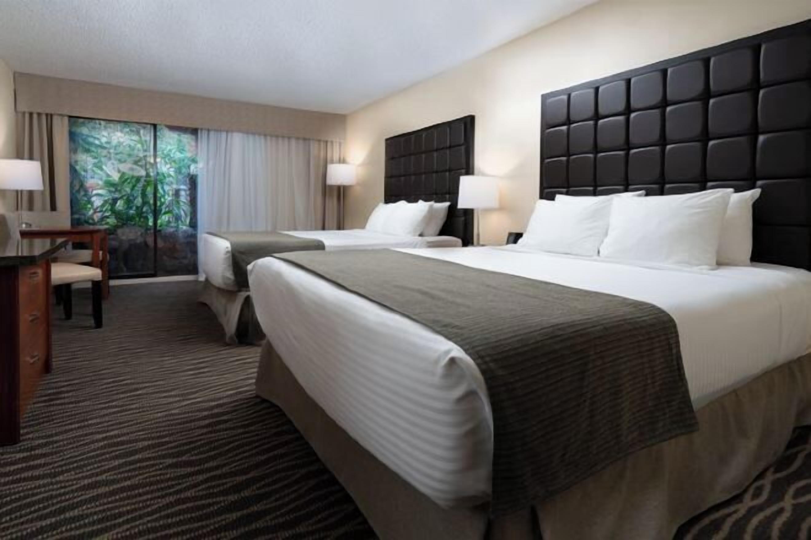 Premium bedding, pillowtop beds, in-room safe, desk