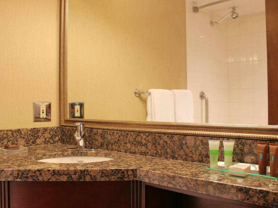 Un baño con encimera de granito, un lavabo, un espejo, toallero y artículos de aseo.