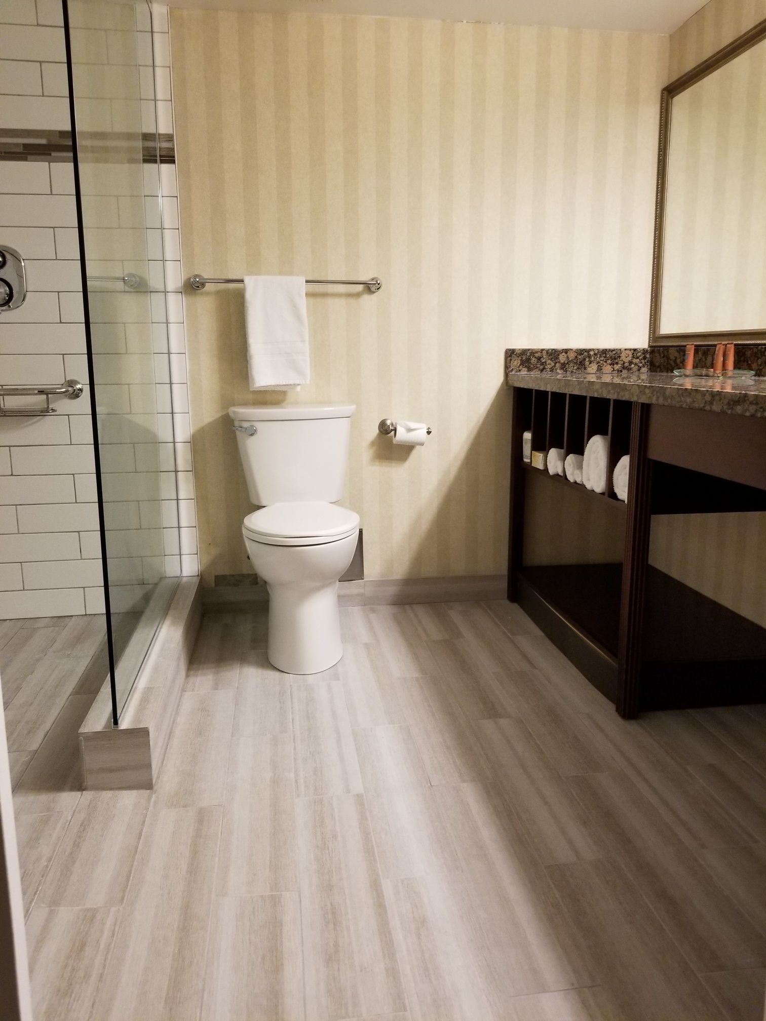 A modern bathroom with a toilet, a glass shower enclosure, and a vanity with a mirror.