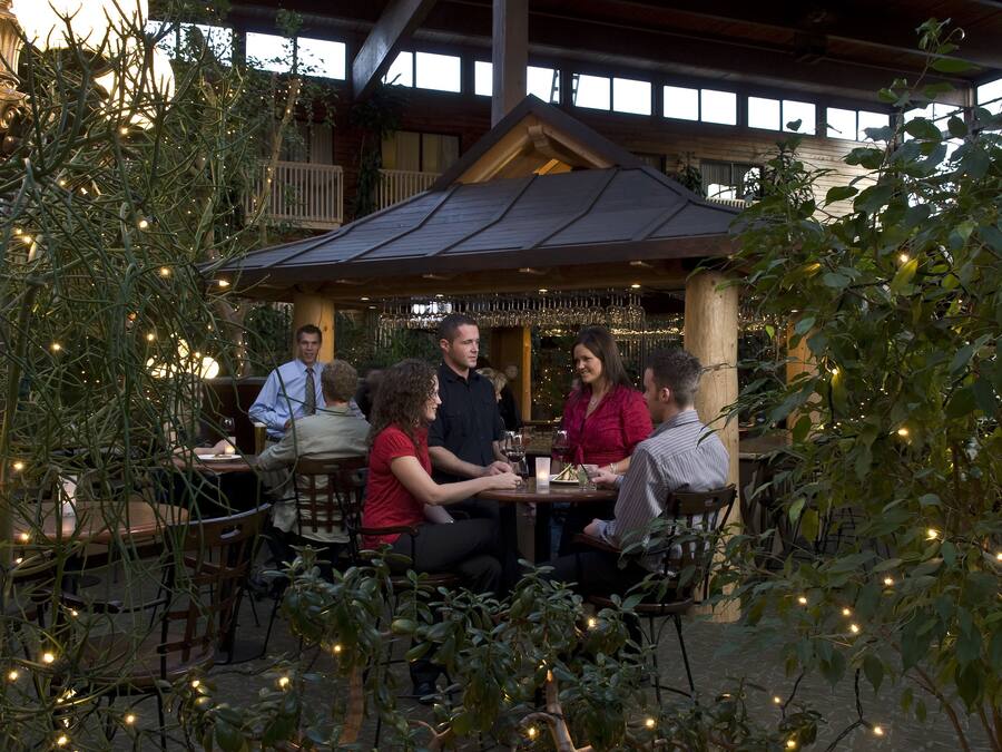 Un grupo de personas cenando en un restaurante al aire libre con luces colgantes y plantas.