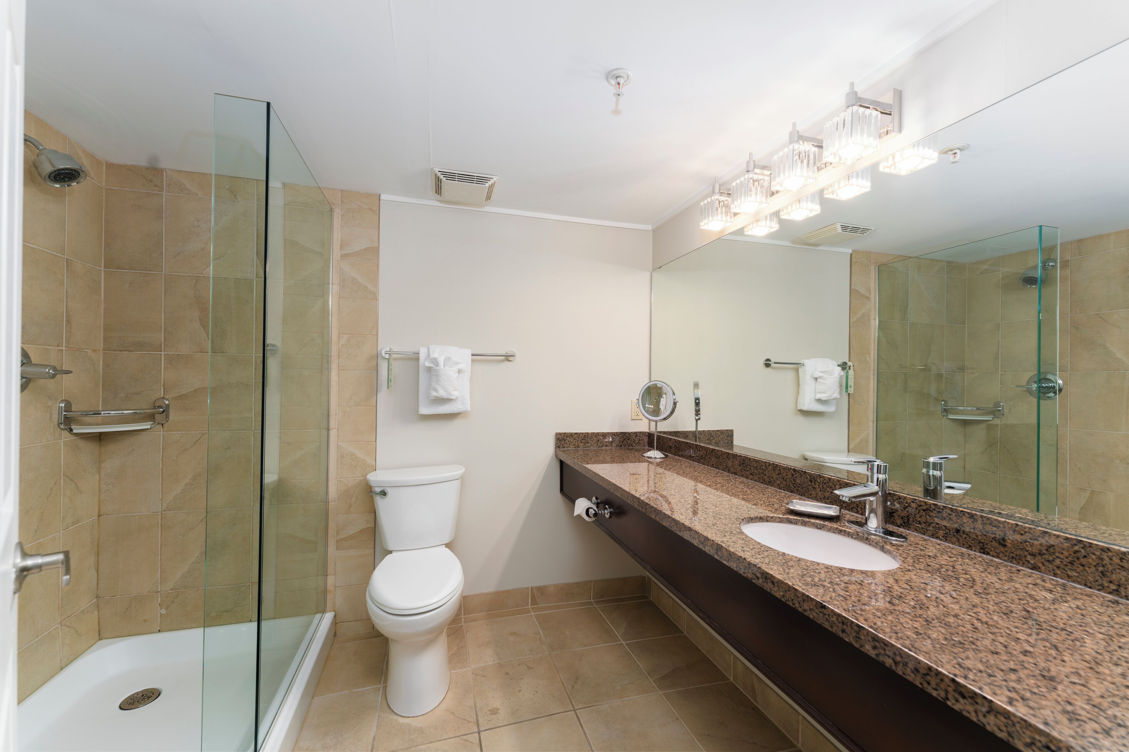 A modern bathroom with a glass shower enclosure, a white toilet, a granite countertop sink, and a large mirror.