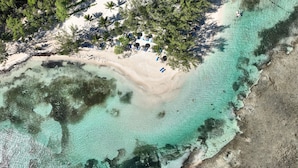 An aerial view of a beach with clear turquoise waters, sandy shore, and palm trees. - Bahia Principe Escape Runaway Bay - Hyatt Inclusive Collection - Adults Only - All Inclusive (Runaway Bay)