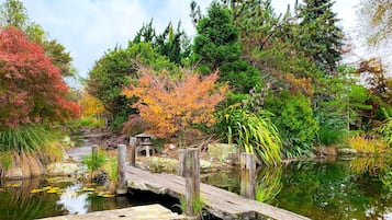 A wooden bridge over a pond with surrounding trees and greenery.