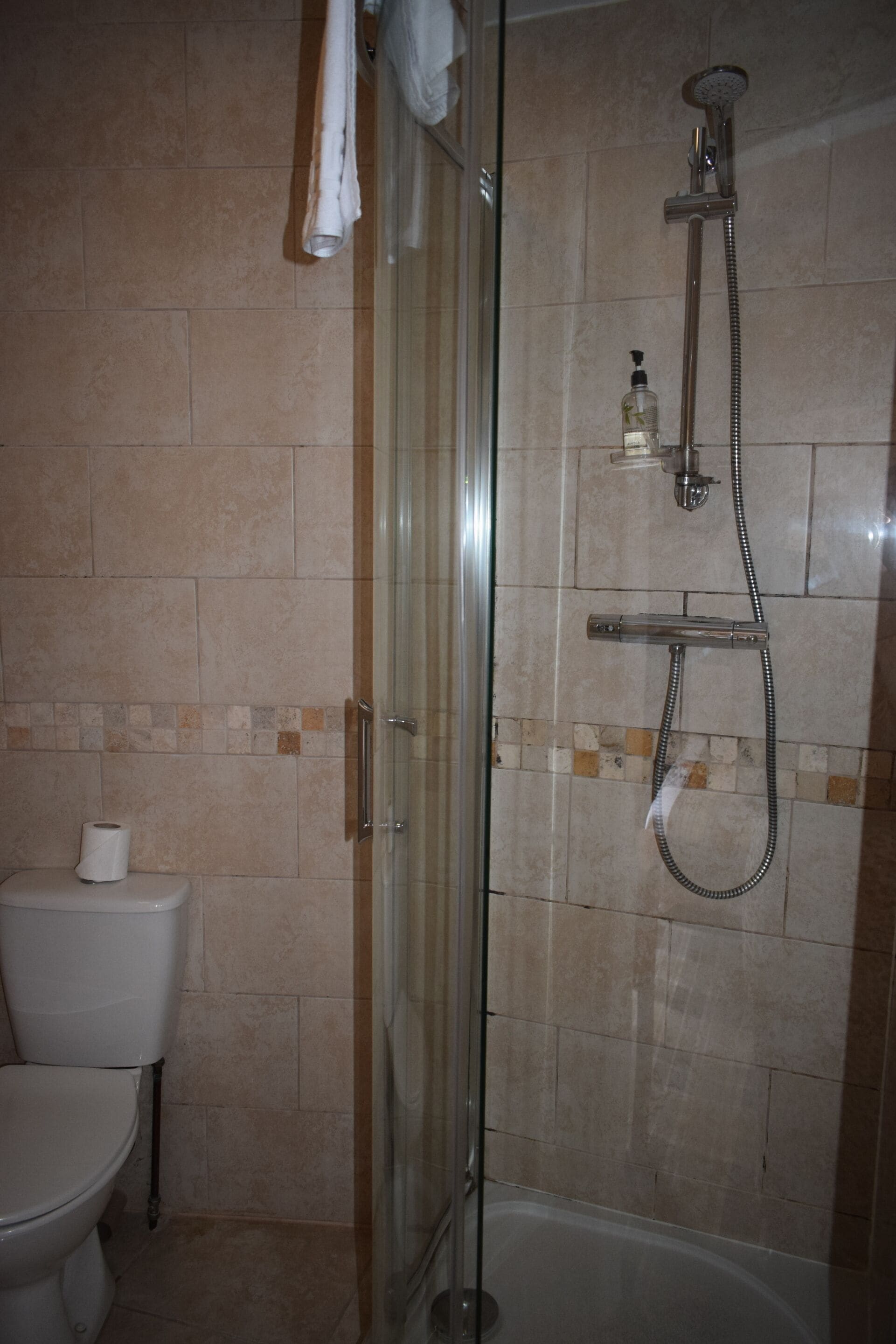 A bathroom with a glass-enclosed shower, a toilet, and a towel rack.