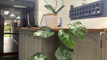 A kitchen with a white countertop, a clock, and potted plants.