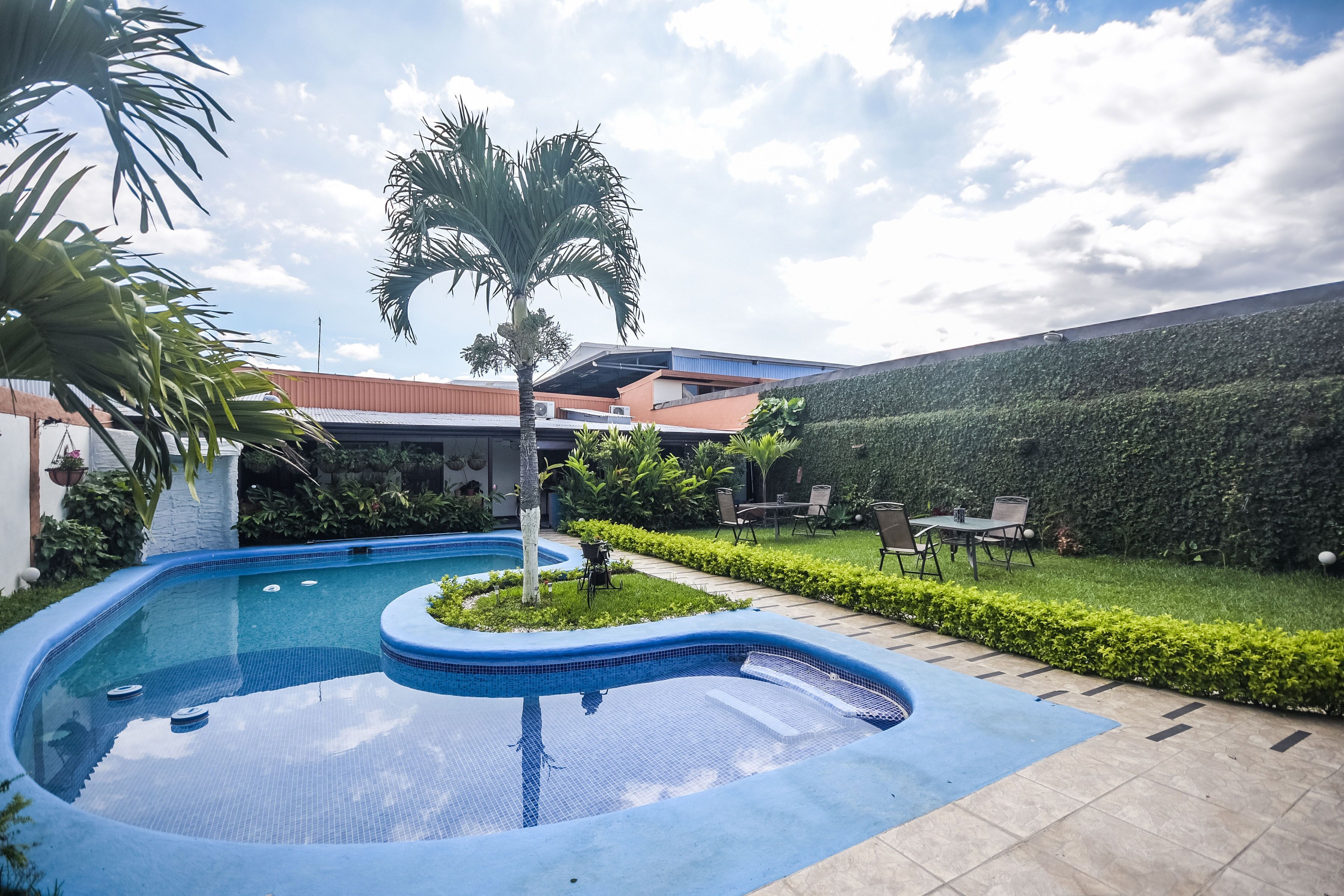 Una piscina de borde curvo, rodeada por un jardín cuidado con palmeras y un seto.