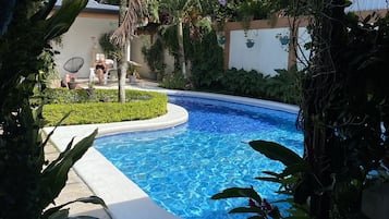 Outdoor pool, sun loungers