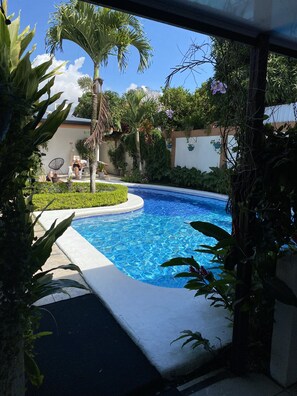 A swimming pool surrounded by lush greenery and a clear blue sky. - Berlor Airport Inn (Rio Segundo)
